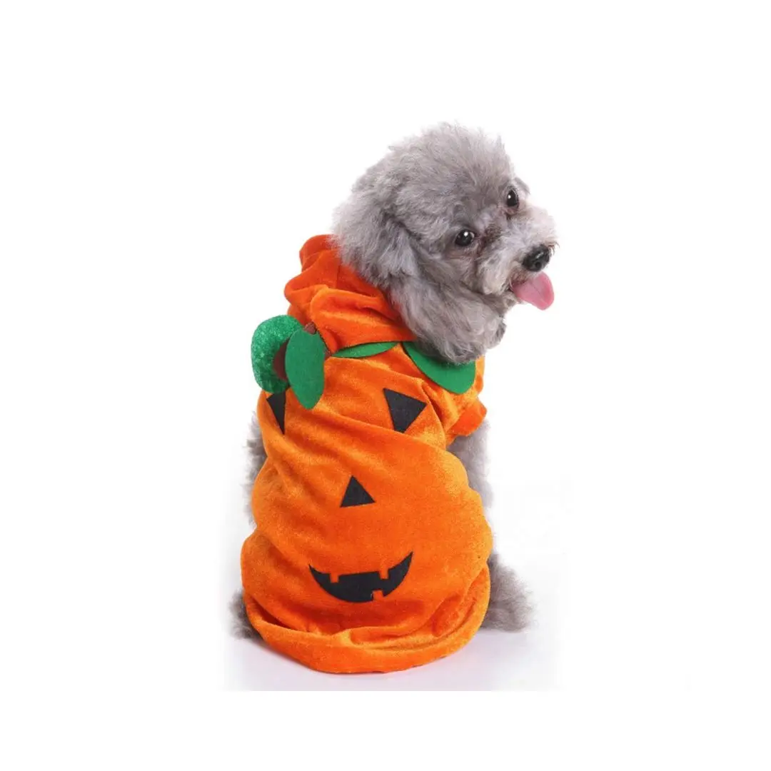 Disfraz para perro pequeño calabaza un