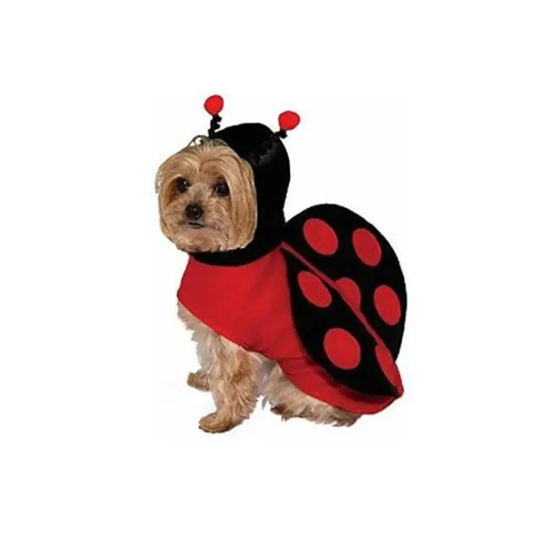 Disfraz para perro pequeño chinita un