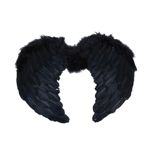 Alas plumas negro 60x45cm un