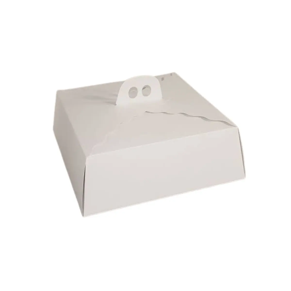 Caja cartón porta torta 30x30x10,5cm un
