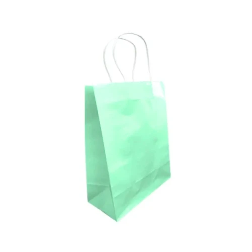 Bolsa de regalo kraft menta pastel un