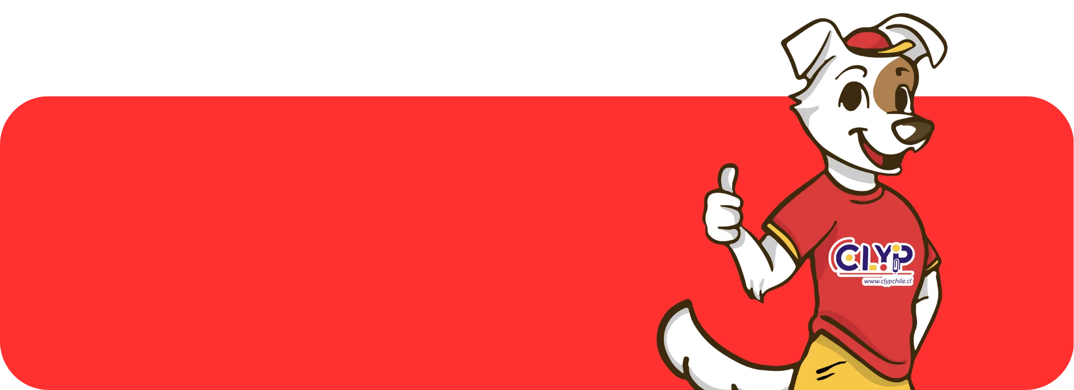 Banner suscripción